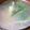 ﾋﾟﾛﾐ♡'s cooksnap of when they made 超簡単！しゃきしゃきもやしとニラのスープ.