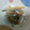 キラりん☆ミ's cooksnap of when they made 煮干しの美しいワタの取り方.