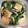 みぺたんこ's cooksnap of when they made 【一皿で満足】厚揚げと小松菜のたいたん.
