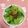 ぽぽきゅ's cooksnap of when they made キャベツのナメタケ和え♪.