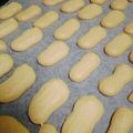 こなみママ's cooksnap of when they made シンプルなビスキュイ♪クッキー.