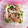 ロイヤルミルク♪'s cooksnap of when they made 超簡単☆枝豆とカニカマのわさマヨサラダ.
