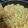 mt_makana☆'s cooksnap of when they made 鮭とキャベツのチャーハン.