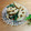 meple☆'s cooksnap of when they made れんこんといんげんの☆ごま味噌和え.