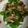 ニノにの's cooksnap of when they made 三色野菜と挽肉の焦がし醤油炒め.