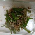 クックL0OLKS☆'s cooksnap of when they made じゃことピーマン炒め.