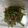 クックL0OLKS☆'s cooksnap of when they made じゃことピーマン炒め.