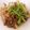erumo11's cooksnap of when they made 牛肉とレンコンの甘辛煮.