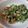 クックZ4AQ75☆'s cooksnap of when they made 豆苗のニラ玉風.