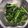 クックKO7AVQ☆'s cooksnap of when they made 簡単♪ほうれん草のナムル★.