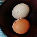 クックBNQ5PD☆'s cooksnap of when they made 冷凍卵の作り方＆活用レシピ☆.