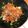 クックZGMSPO☆'s cooksnap of when they made ❄︎絶品❤️生姜風味の鯵ごま漬け丼❄︎.