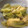 mantacarp's cooksnap of when they made 油揚げと白菜の炒め煮.