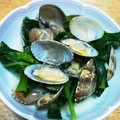 さちゆみひかり's cooksnap of when they made 簡単副菜！あさりの青菜炒め(小松菜).