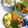 ◆◇Wtiti＊◇◆'s cooksnap of when they made ちくわとカイワレ大根の簡単サラダ☆.