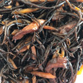 kamももけん's cooksnap of when they made 簡単、生ひじきの煮物♪.