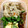 しろうま123's cooksnap of when they made 簡単 旨旨！舞茸の混ぜご飯。.