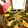 GJ☆KITCHEN's cooksnap of when they made 春色パエリア(バレンシアパエリア).