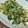mioly's cooksnap of when they made 時短・簡単！かぶの葉と卵でぱぱっと炒め.