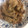 クックPW9C2T☆'s cooksnap of when they made 父から教わった★豚肉の生姜焼き.