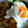 curisupin's cooksnap of when they made ❤アボガドとひき肉のカフェ風丼❤.
