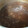 クックR5CMFN☆'s cooksnap of when they made お店の味！簡単で本格的なハヤシライス.