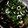 クックIAD7YE☆'s cooksnap of when they made 烏賊とほうれん草の中華炒め.