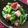♪きっとんとん♪'s cooksnap of when they made 菜の花といかの粒マスタード酢味噌和え.