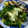 919けんちゃんママ's cooksnap of when they made 菜の花としめじの玉子とじ.