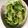 クックQW2NUH☆'s cooksnap of when they made きゅうりとセロリの浅漬け★.