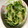 クックQW2NUH☆'s cooksnap of when they made きゅうりとセロリの浅漬け★.