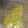 askun05's cooksnap of when they made 柚子皮の保存.