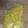 askun05's cooksnap of when they made 柚子皮の保存.