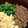 しおずん's cooksnap of when they made 簡単☆3色そぼろ丼.