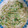 ｽｶｲﾌｨｯｼｭ☆'s cooksnap of when they made 豆苗ともやしのおかかマヨ.