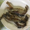 クック1FX93J☆'s cooksnap of when they made いわしの手開き.