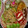 arex1025's cooksnap of when they made ポリ袋と豚こまで簡単♪魔法の生姜焼き.