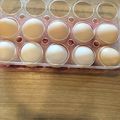クックキーコ's cooksnap of when they made 卵の収納！クルッと☆簡単に！.