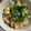 miwaco1207's cooksnap of when they made 豚と卵で他人丼.