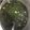 クックRQ16PR☆'s cooksnap of when they made あおさの味噌汁.