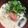 クックBFK6UW☆'s cooksnap of when they made ジャガイモと明太子の豆乳クリームスープ.