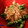 td510's cooksnap of when they made いんげんの梅おかかあえ.