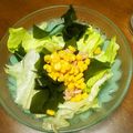 みみりん♪♪'s cooksnap of when they made ツナとわかめのサラダ.