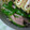 ＭＯＭＯパンダ's cooksnap of when they made ★簡単★魚肉ソとピーマンのクレソル炒め★.