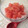 CANADOLL's cooksnap of when they made 簡単ピンクグレープフルーツのソルベ♪.