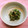 クック81UY93☆'s cooksnap of when they made 小松菜のごまあえ.