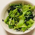 ayagata's cooksnap of when they made レタスとかいわれ大根のサラダ.