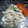 らんぴん's cooksnap of when they made 超簡単！大根とツナのさっぱりマヨサラダ.