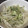きおのすけ's cooksnap of when they made きゅうりともやしのシャキシャキ炒め.