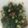 クックLBN3YE☆'s cooksnap of when they made ビールが進む…オクラ梅まぶし！.